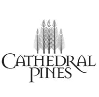Cathedral Pines
