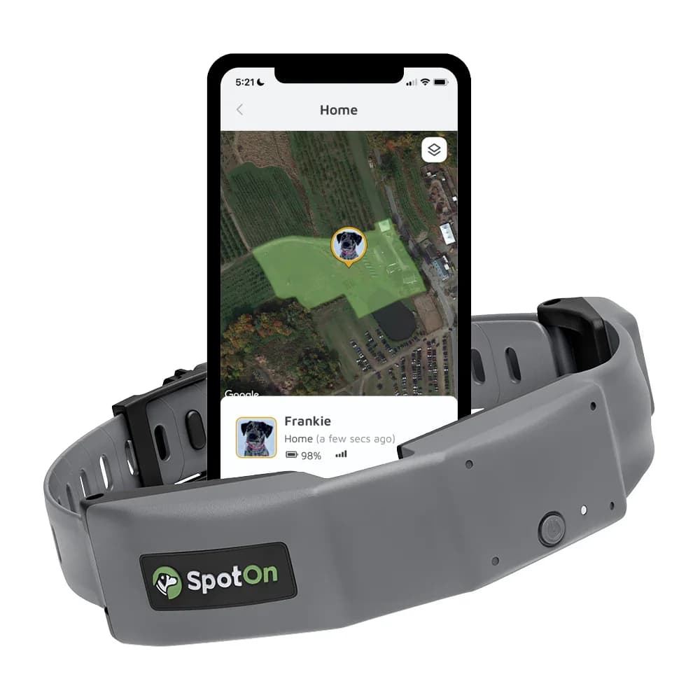 Our Favorite Things Spoton Gps Dog Fence